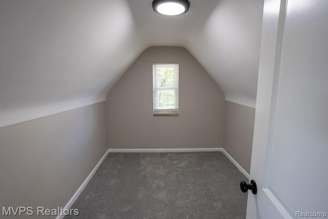 21212 Universal Ave, Eastpointe, MI 48021 - additional living space featuring carpet and vaulted ceiling