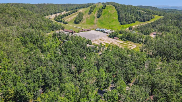5277 Tyrol Ln, Harbor Springs, MI 49740
