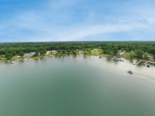 70749 Sunset Blvd, Union, MI 49130 - aerial view of a nearby body of water