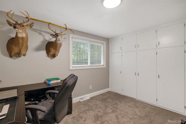 6590 Swartout Rd, Clay, MI 48001 - carpeted home office with baseboards