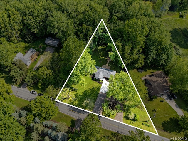 6590 Swartout Rd, Clay, MI 48001 - aerial overview of property's location with property parcel outlined