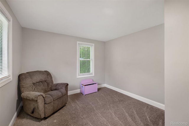 6590 Swartout Rd, Clay, MI 48001 - sitting room featuring carpet and baseboards