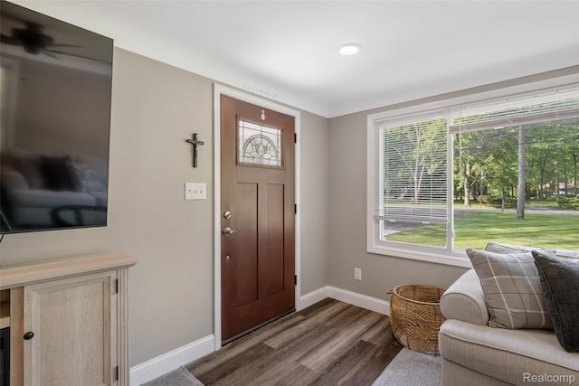 6590 Swartout Rd, Clay, MI 48001 - foyer entrance with baseboards and dark wood-style flooring