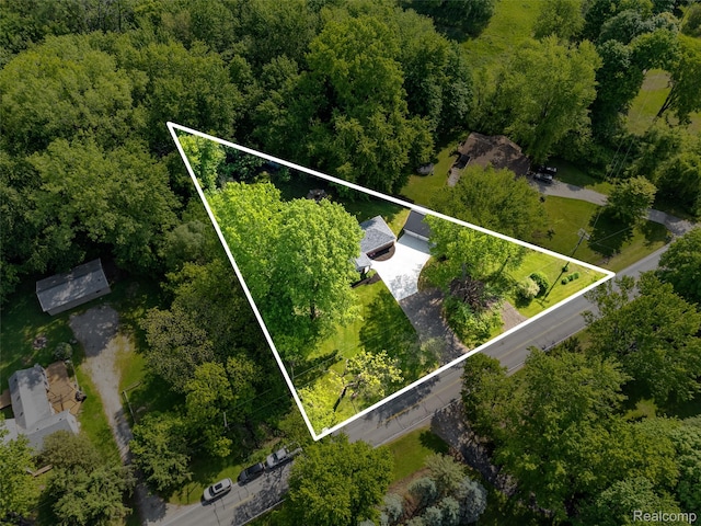 6590 Swartout Rd, Clay, MI 48001 - view of property location with property parcel outlined