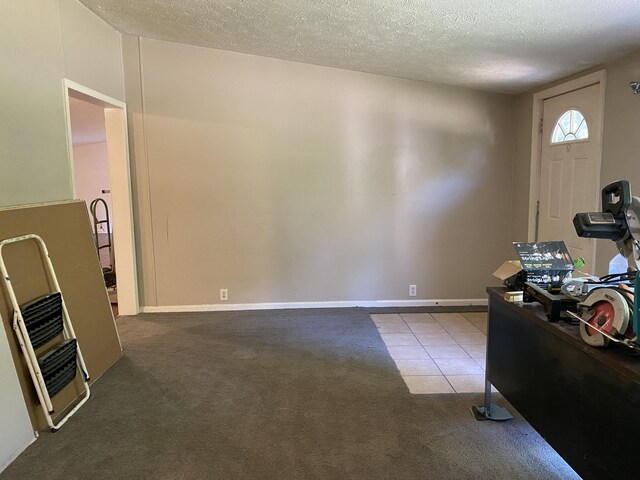 6317 E 76th St, Newaygo, MI 49337 - carpeted home office featuring a textured ceiling