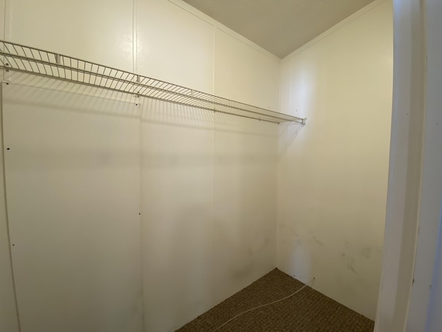 6317 E 76th St, Newaygo, MI 49337 - spacious closet with carpet flooring