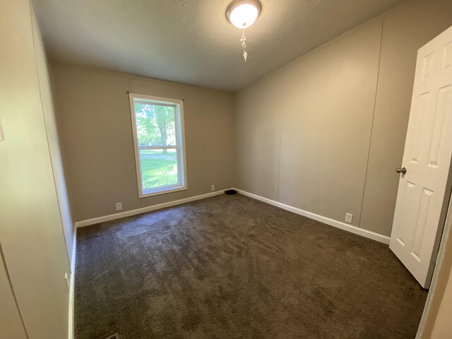 6317 E 76th St, Newaygo, MI 49337 - spare room with dark carpet and a textured ceiling