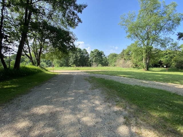 6317 E 76th St, Newaygo, MI 49337 - view of dirt / gravel road