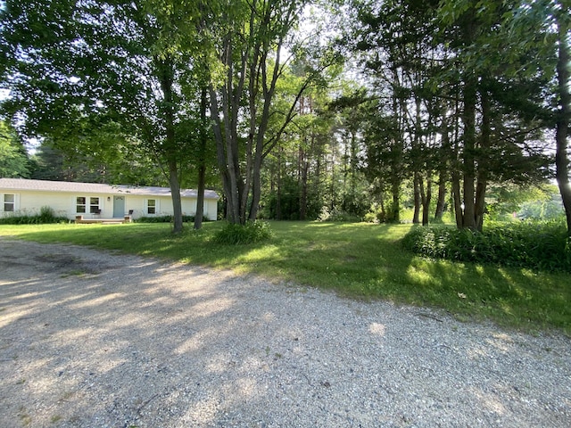 6317 E 76th St, Newaygo, MI 49337 - view of grassy yard with gravel driveway