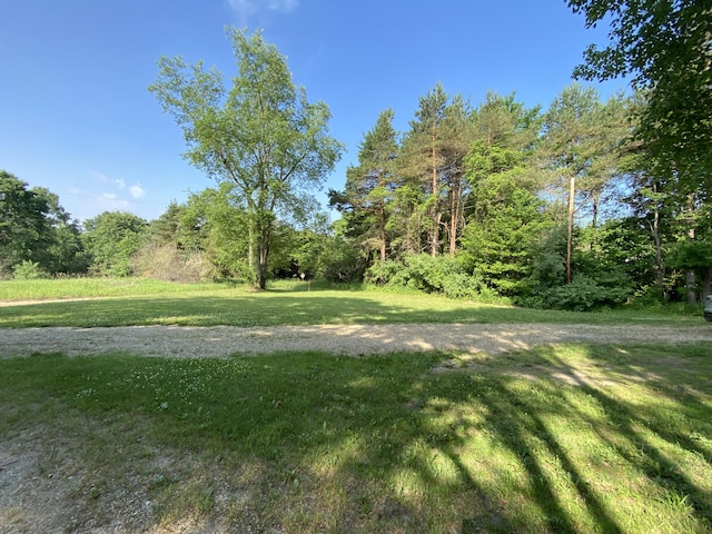 6317 E 76th St, Newaygo, MI 49337 - view of green lawn