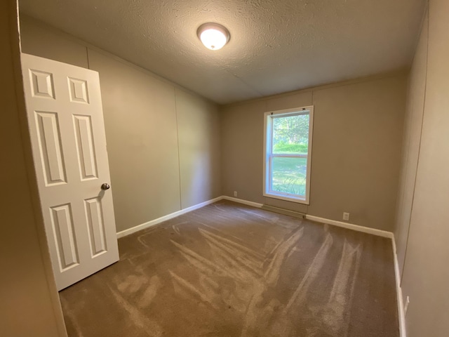 6317 E 76th St, Newaygo, MI 49337 - carpeted empty room featuring a textured ceiling and baseboards