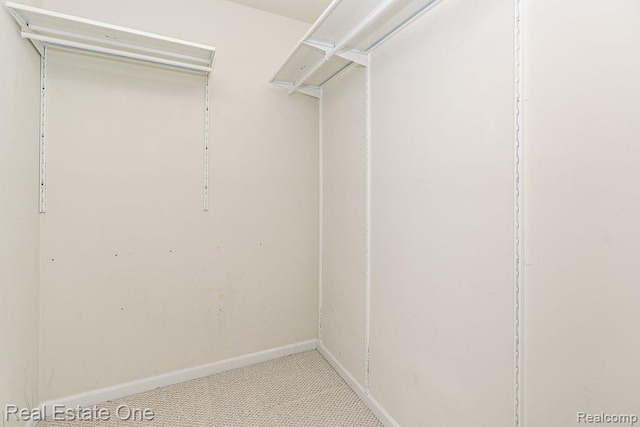 2669 Helmsdale Cir, Rochester, MI 48307 - walk in closet with carpet