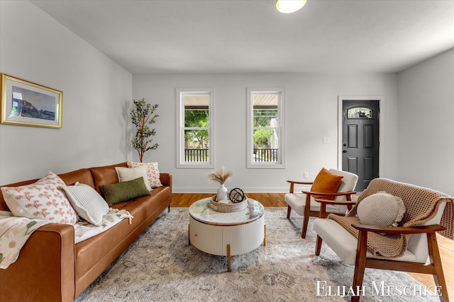 243 Page St NE, Grand Rapids, MI 49505 - living room featuring wood finished floors and baseboards