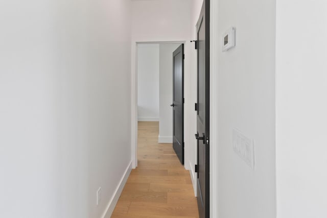 6581 Timpson Ave SE, Alto, MI 49302 - corridor with light wood finished floors and baseboards