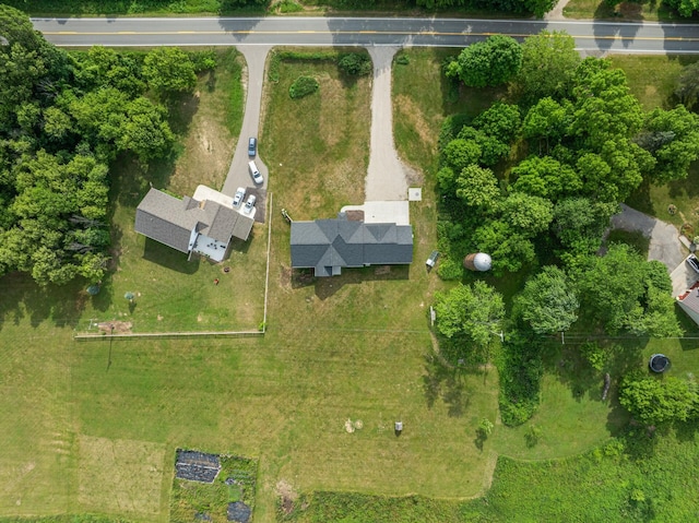6581 Timpson Ave SE, Alto, MI 49302 - drone / aerial view