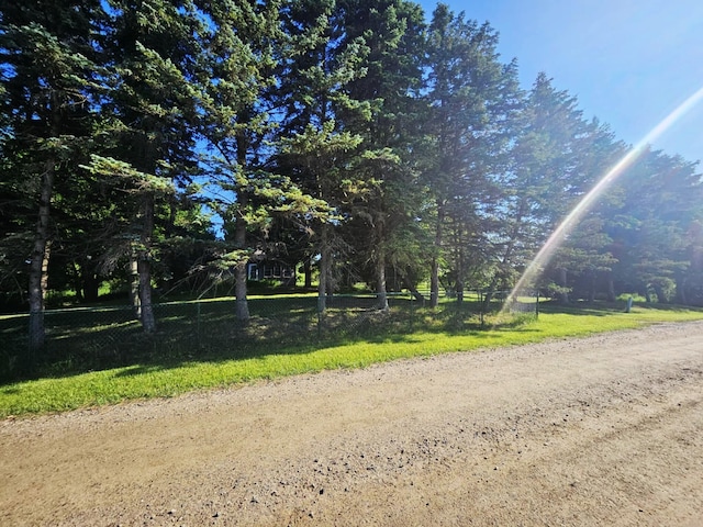 7805 Wildt Hwy, Bellevue, MI 49021 - photo 2