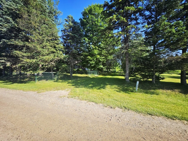 7805 Wildt Hwy, Bellevue, MI 49021 - photo 4