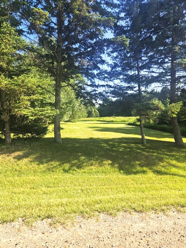 7805 Wildt Hwy, Bellevue, MI 49021 - photo 5