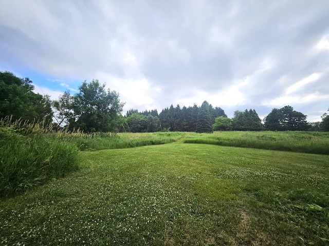 7805 Wildt Hwy, Bellevue, MI 49021 - photo 9
