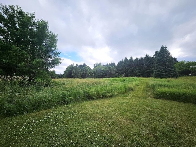 7805 Wildt Hwy, Bellevue, MI 49021 - photo 10