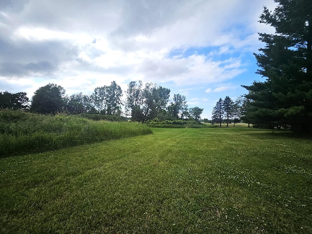7805 Wildt Hwy, Bellevue, MI 49021 - photo 11