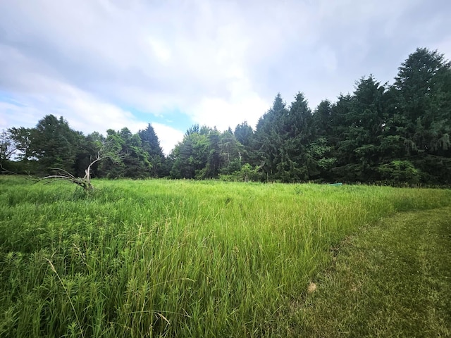 7805 Wildt Hwy, Bellevue, MI 49021 - photo 12