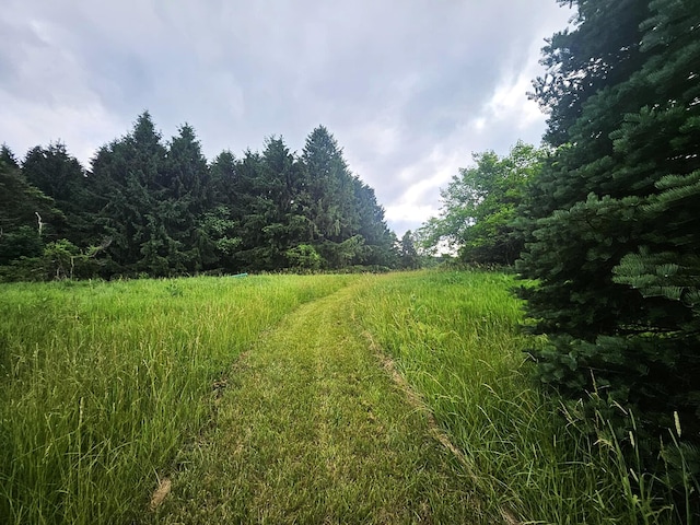 7805 Wildt Hwy, Bellevue, MI 49021 - photo 13
