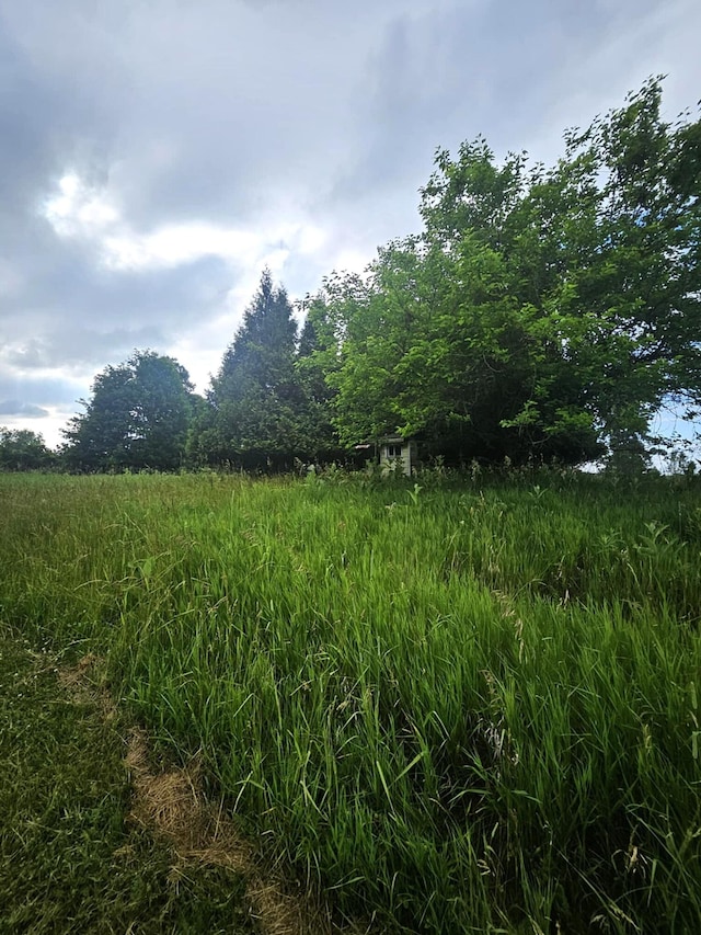 7805 Wildt Hwy, Bellevue, MI 49021 - photo 14