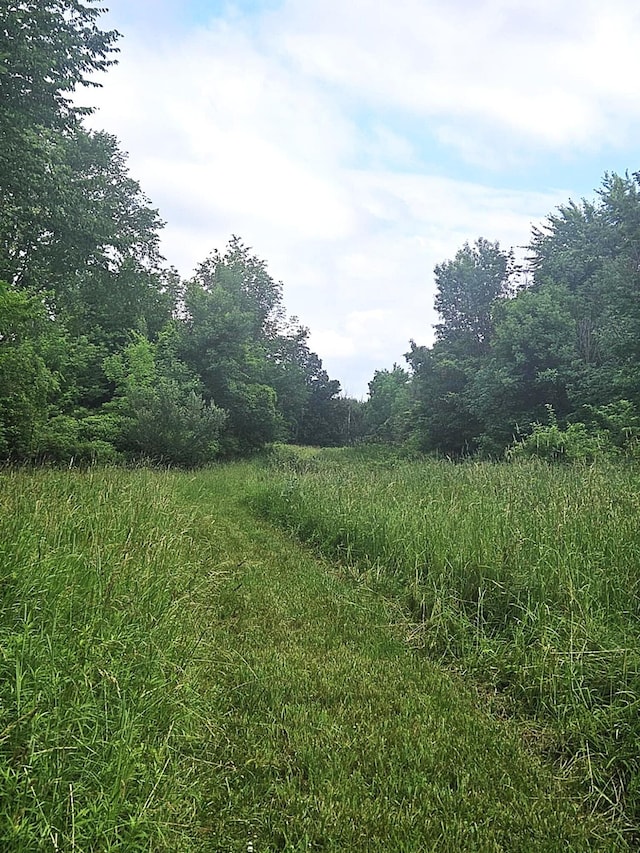 7805 Wildt Hwy, Bellevue, MI 49021 - photo 19