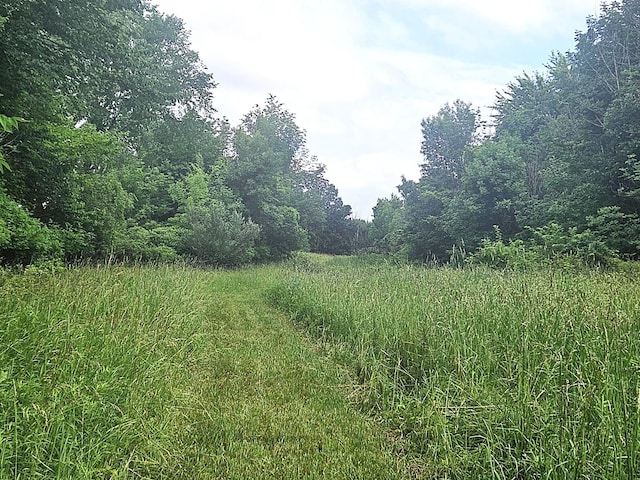7805 Wildt Hwy, Bellevue, MI 49021 - photo 20