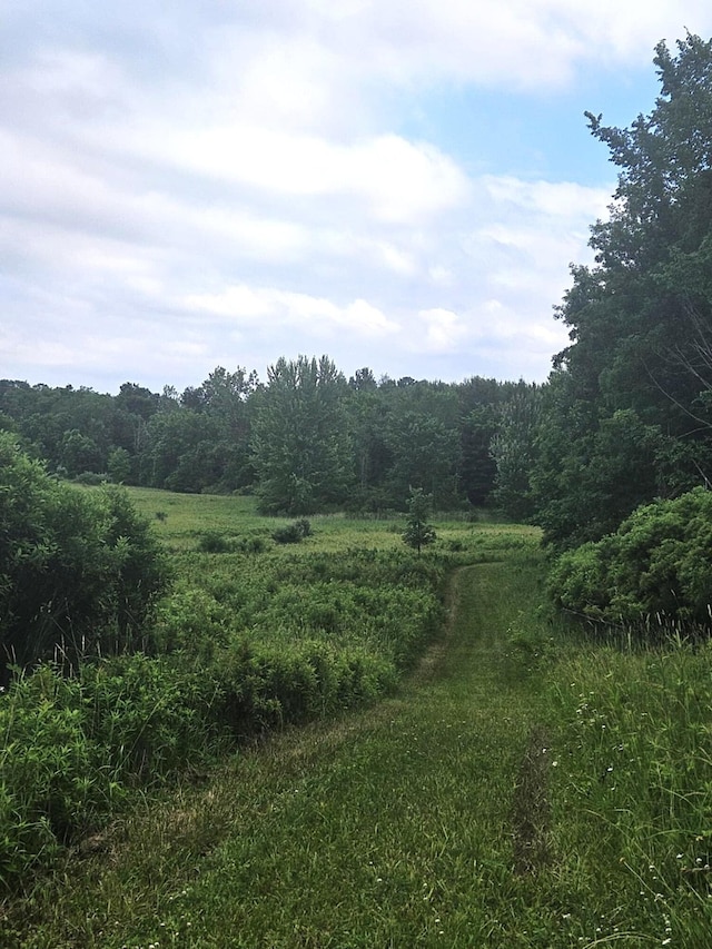 7805 Wildt Hwy, Bellevue, MI 49021 - photo 21