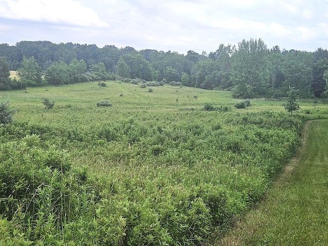 7805 Wildt Hwy, Bellevue, MI 49021 - photo 23