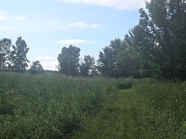 7805 Wildt Hwy, Bellevue, MI 49021 - photo 24