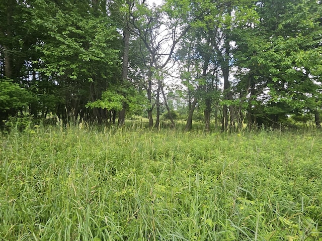 7805 Wildt Hwy, Bellevue, MI 49021 - photo 25