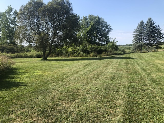 7805 Wildt Hwy, Bellevue, MI 49021 - photo 42