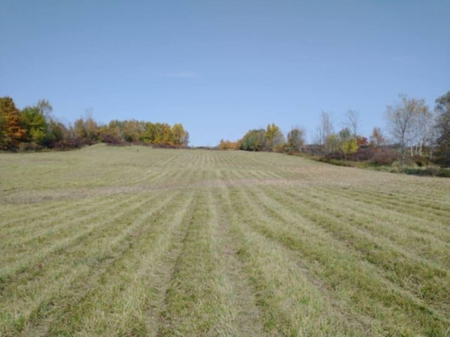 7805 Wildt Hwy, Bellevue, MI 49021 - photo 39