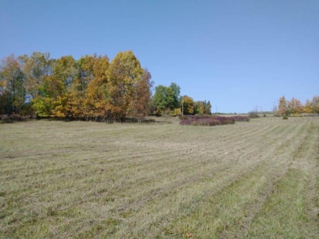 7805 Wildt Hwy, Bellevue, MI 49021 - photo 40