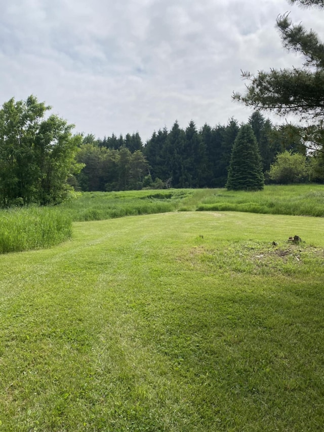 7805 Wildt Hwy, Bellevue, MI 49021 - photo 43