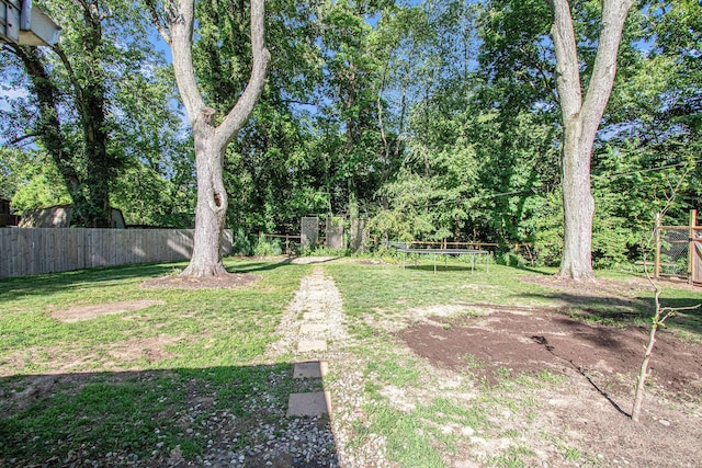 3365 Circle Dr, Saint Joseph, MI 49085 - view of yard with a trampoline