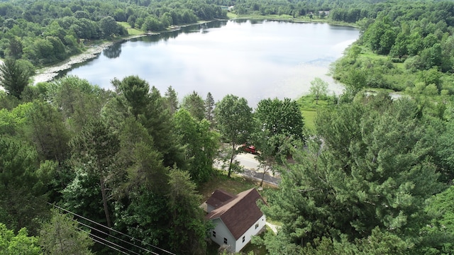 17324 11 Mile Rd, Leroy, MI 49655 - bird's eye view of a forest and a large body of water