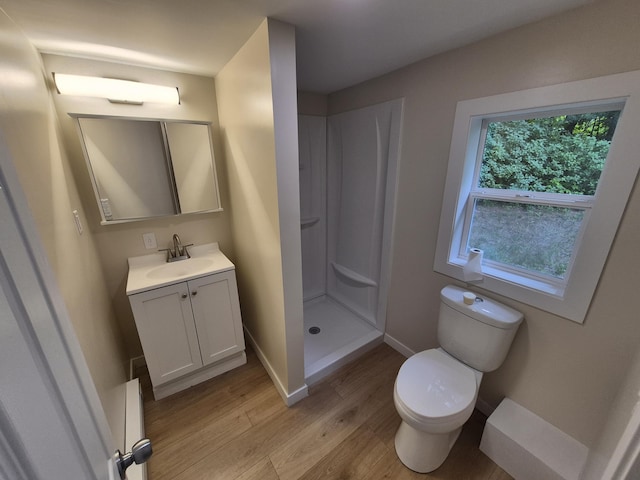 17324 11 Mile Rd, Leroy, MI 49655 - bathroom with wood finished floors, vanity, and a stall shower