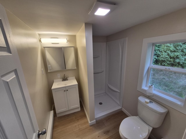 17324 11 Mile Rd, Leroy, MI 49655 - full bathroom featuring wood finished floors, vanity, a shower stall, and a baseboard radiator