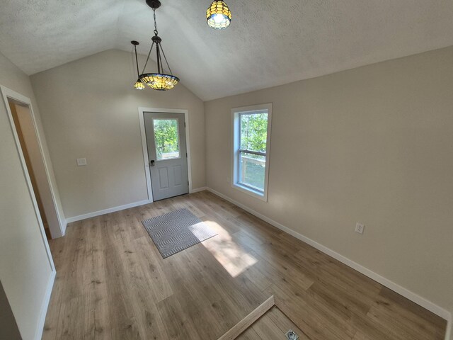 17324 11 Mile Rd, Leroy, MI 49655 - entrance foyer featuring vaulted ceiling, wood finished floors, and a textured ceiling