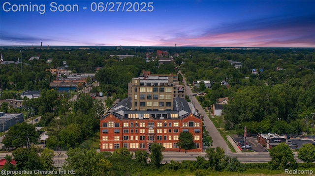 6533 E Jefferson Ave Unit 312W, Detroit, MI 48207 - bird's eye view