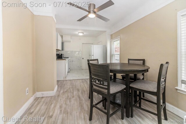 20817 Garden Ln, Ferndale, MI 48220 - photo 6