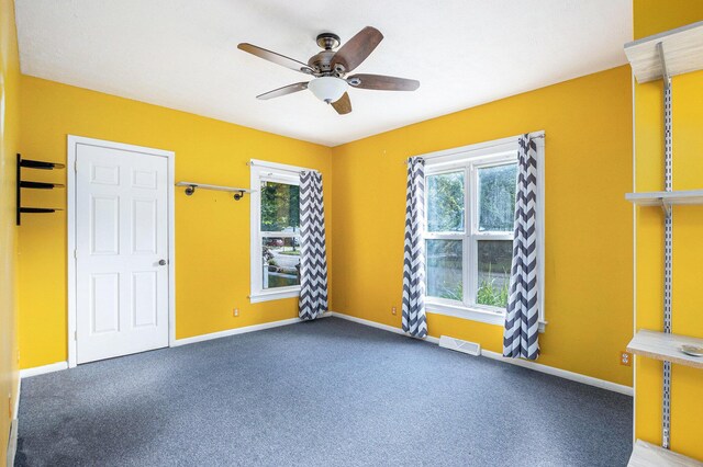 14 Grove St, Galesburg, MI 49053 - photo 19