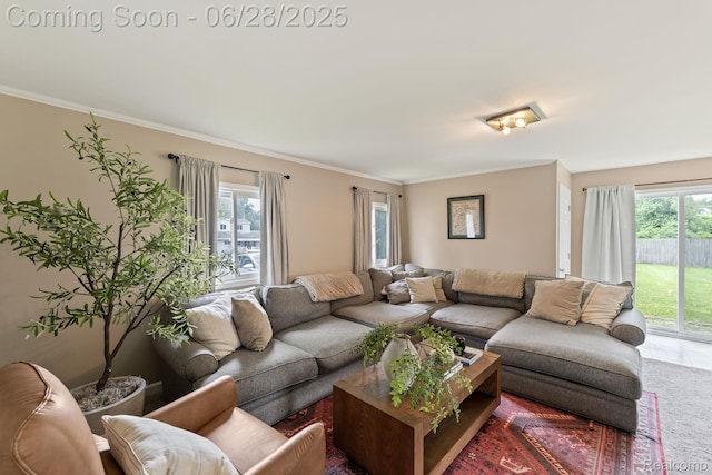 4860 Lindholm Dr, White Lake, MI 48383 - living area with plenty of natural light, ornamental molding, and carpet
