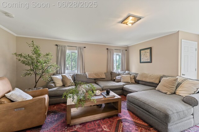 4860 Lindholm Dr, White Lake, MI 48383 - living room with ornamental molding