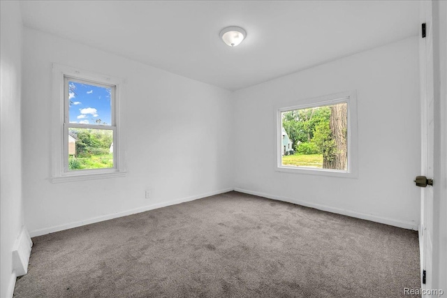 19966 Lindsay St, Detroit, MI 48235 - empty room featuring healthy amount of natural light and carpet