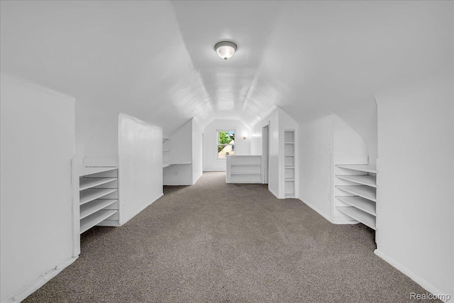 19966 Lindsay St, Detroit, MI 48235 - bonus room with carpet, lofted ceiling, and built in features